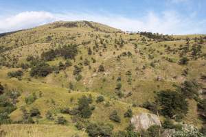 Xtrallusion photo library of independent, self-guided walking and sightseeing holidays in Italy. Pictures, images, photos and photographs taken along the way of this 1-day walking itinerary, to give you a visual impression of the day's walk.